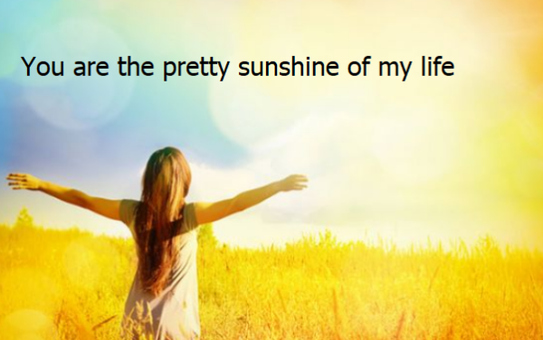 you are the pretty sunshine of my life是什么意思