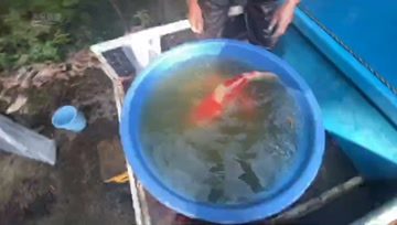 360影视 影视搜索 360影视 影视搜索