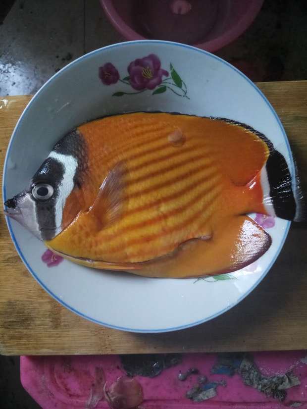 谁认识这种鱼,嘴巴和尾巴黑白色,身体金色条纹,三亚路边买的,说渔民