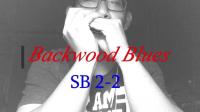 [图]布鲁斯口琴 backwood blues