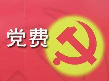 2014年党费收缴标准是怎样的?