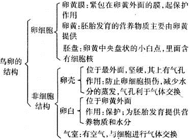 鸟卵的结构和功能如图所示