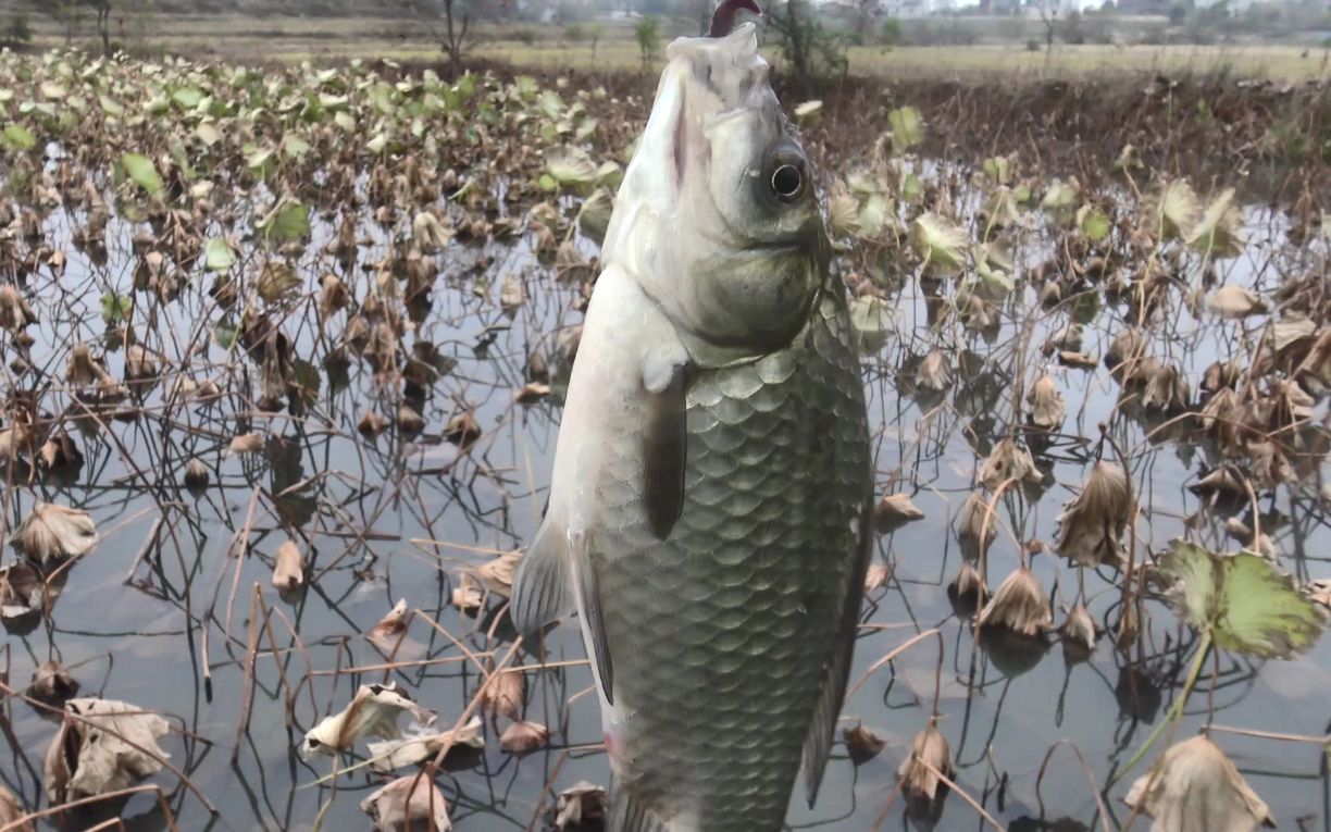 360影视-影视搜索