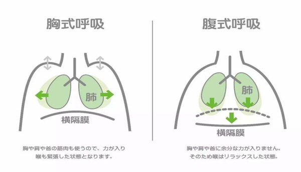 发声点和发声位置图解图片