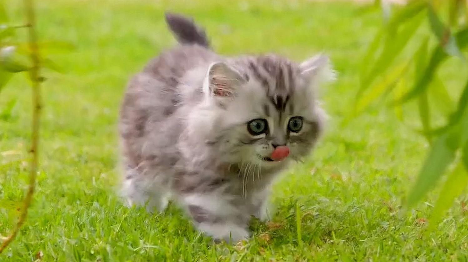 360影视 影视搜索 360影视 影视搜索