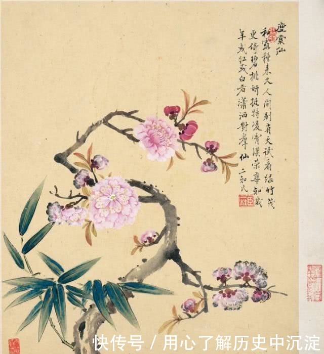 桃花什么桃花源