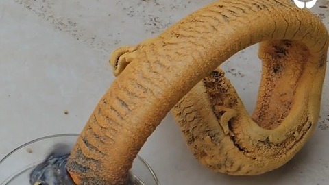 史上最怪异的化学反应之"法老之蛇"