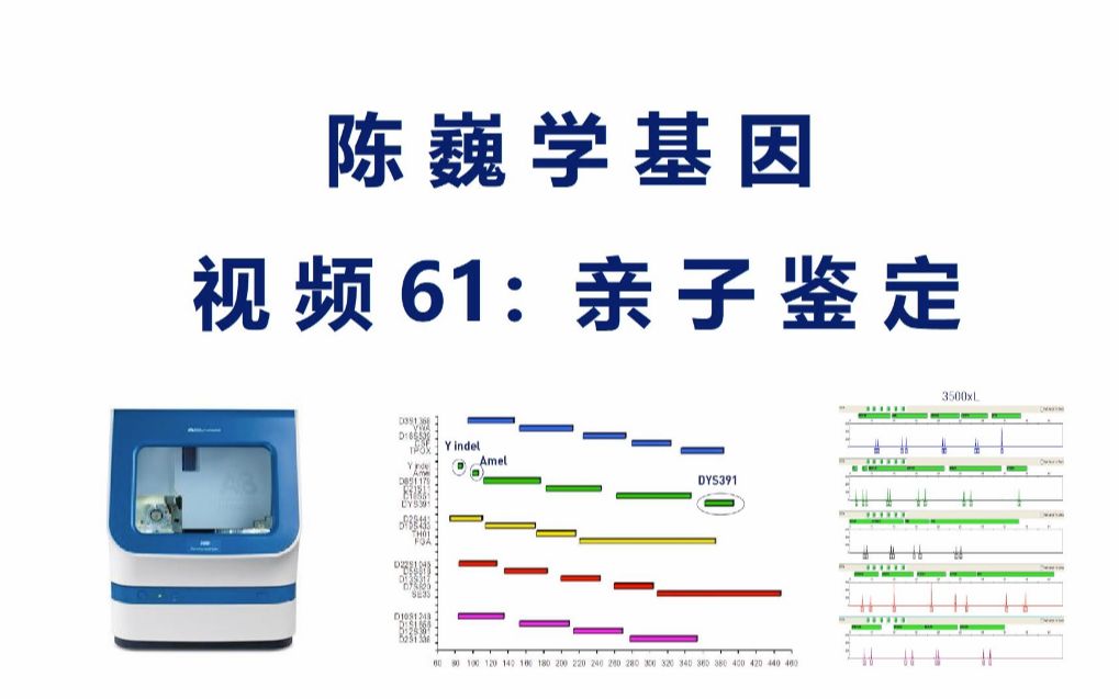 [图]【陈巍学基因】 视频61 亲子鉴定