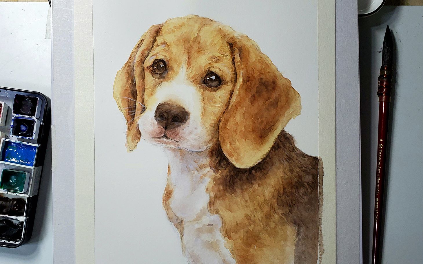 【水彩动物教程】10分钟学画比格犬 憨憨惹人怜 水彩狗狗