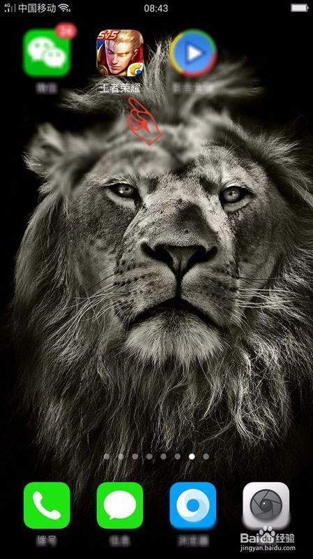 王者荣耀qq号qq密码全皮肤全英雄保证不改密