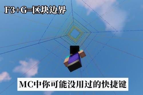 我有一个我的世界