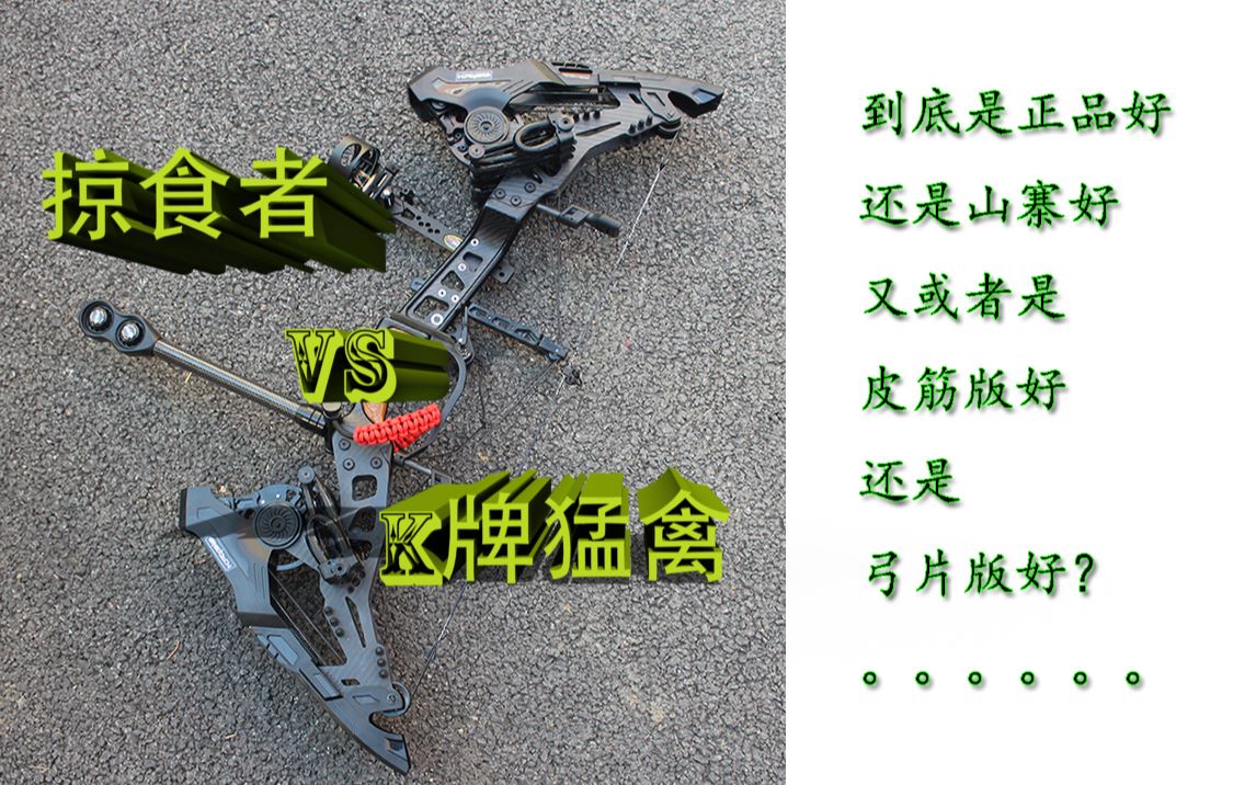 掠食者一代钢珠弓2用复合弓箭vs山寨版k牌猛禽皮筋版还是弓片版好?