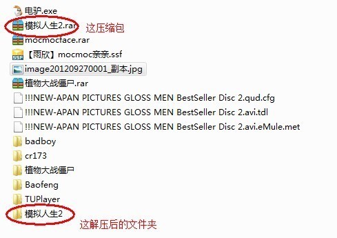 模拟人生2下载解压之后怎么安装啊