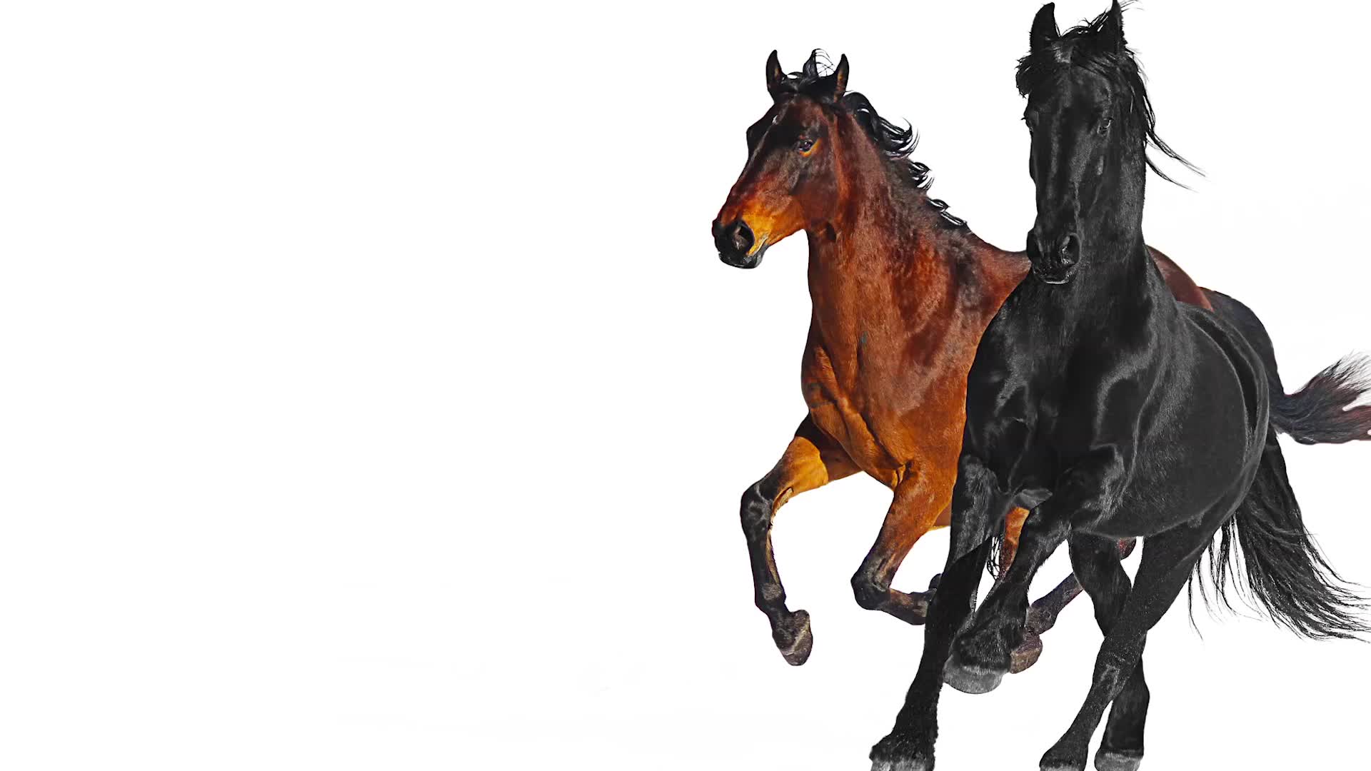 [图]Lil Nas X - Old Town Road (feat. Billy Ray Cyrus) [Remix]