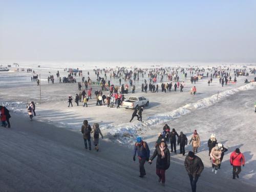 哈尔滨谁知道有实惠一点不坑的修手机的地方