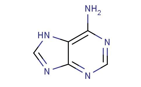 腺嘌呤核糖核苷酸简式图片