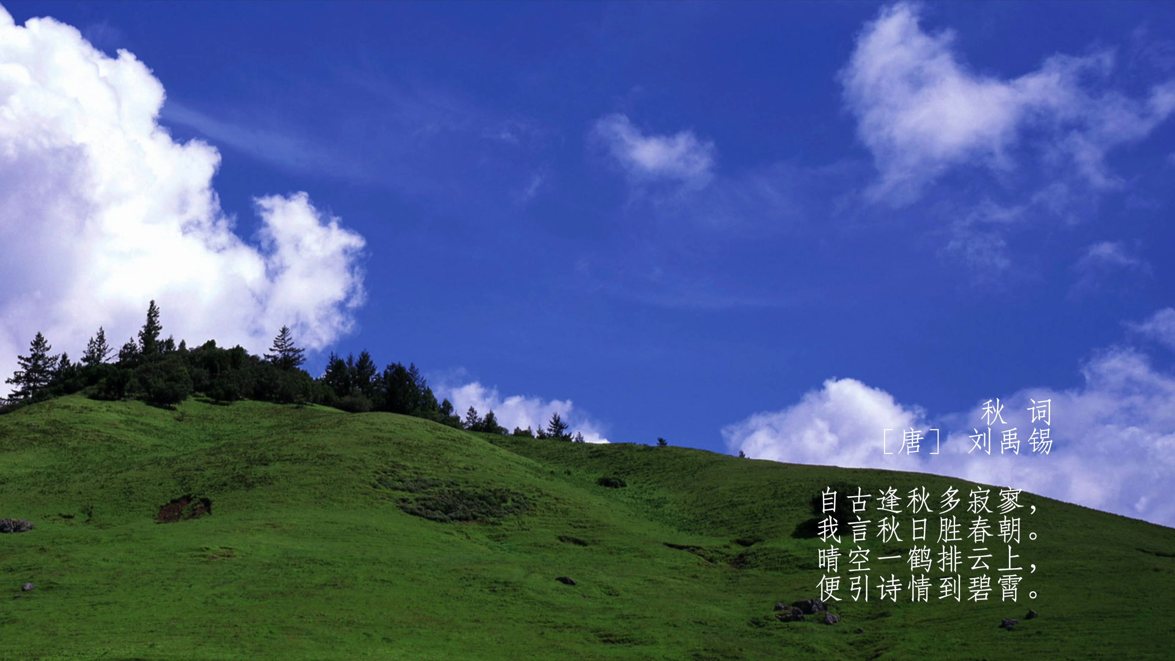 古诗词欣赏唐刘禹锡秋词