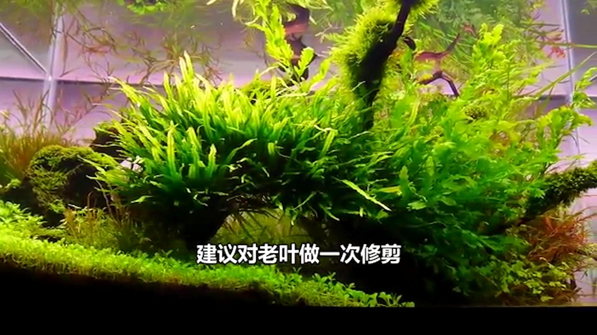 360影视 影视搜索