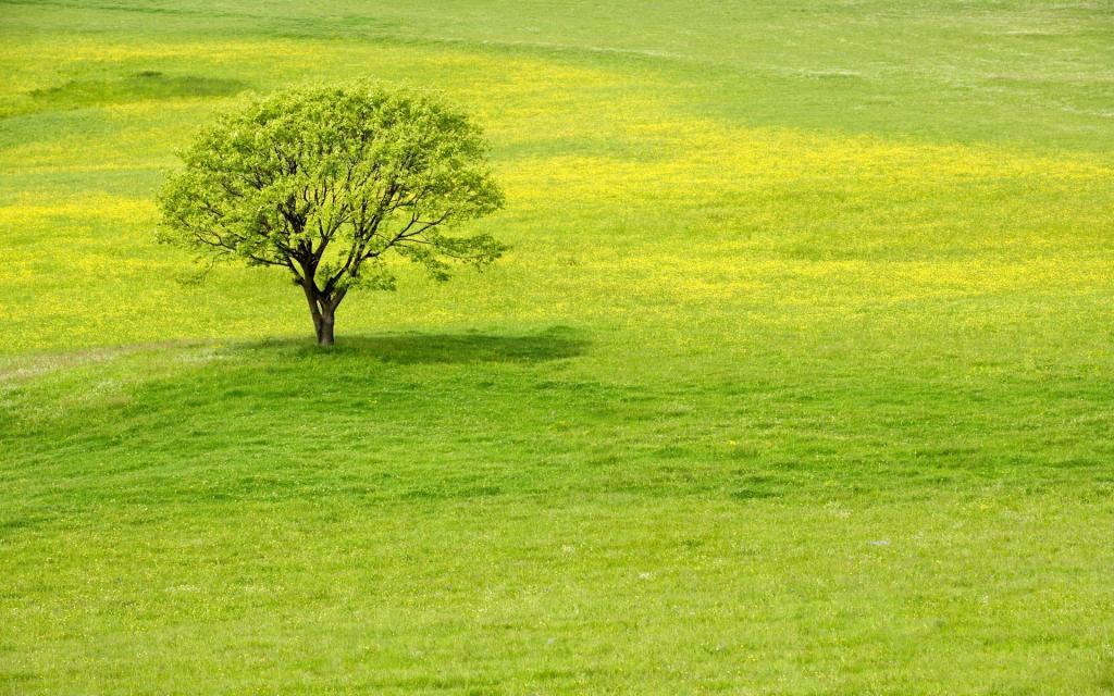 自然美丽的风景[图2]