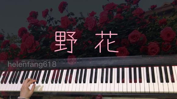 [图]理查德·克莱德曼钢琴曲《野花》