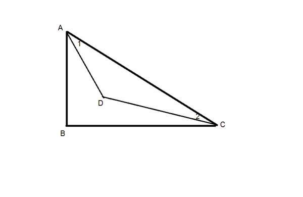 直角三角形平分线图片