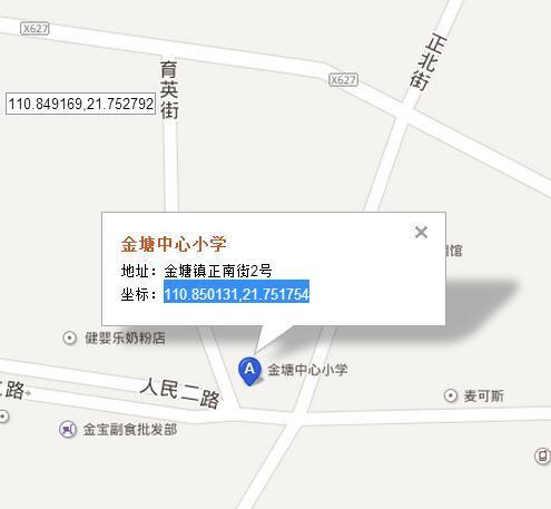 google卫星地图茂名市茂南区金塘中心小学的经