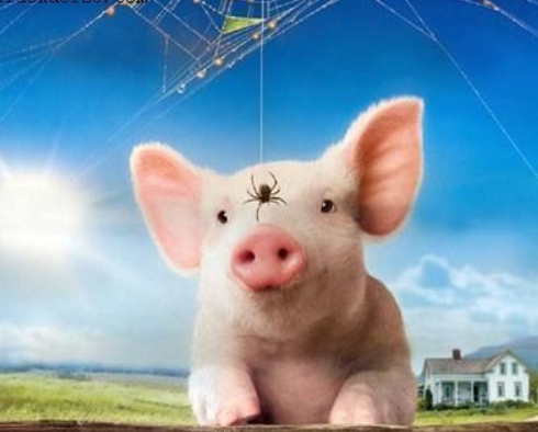 小猪威尔伯这篇主要讲的是什么?