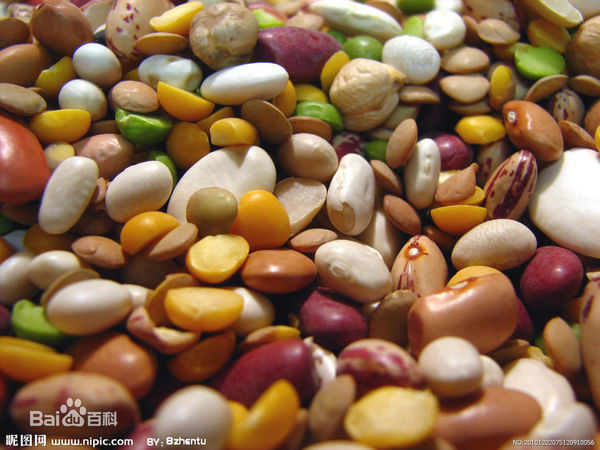 斑鸠雏鸟喂着什么?还要不要喂沙子?我现在喂