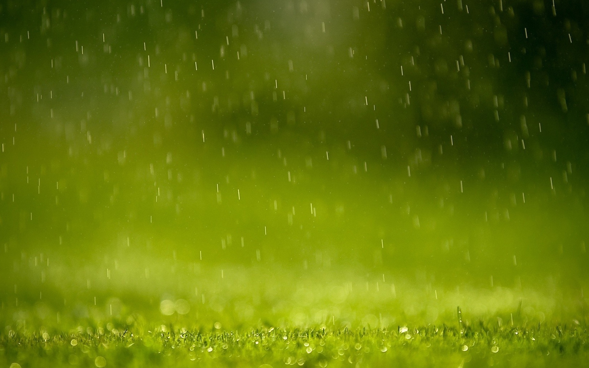 夏日雨后风景高清桌面壁纸[图6]