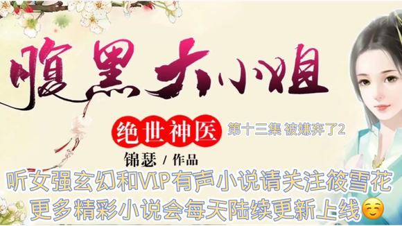 [图]听精彩小说《绝世神医腹黑大小姐》第十三集