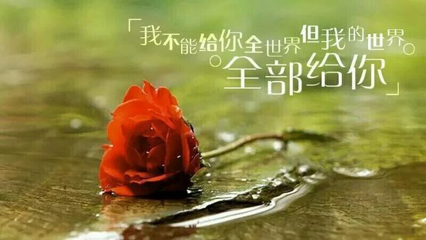 xsj我还爱你 第二副图(加字就