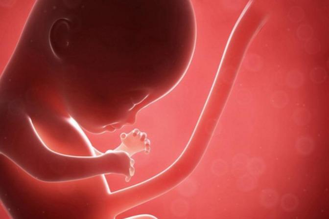 视频:前三个月的胎宝宝发育竟是这样的,孕育的过程是非常美好的