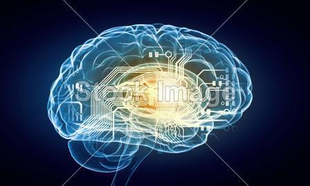 brain 韩剧 720P 或1080P下载