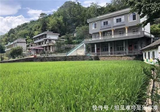 高校党支部书记是基层党建