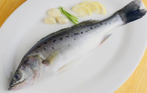 鲈鱼是发物吗是海鱼还是淡水鱼