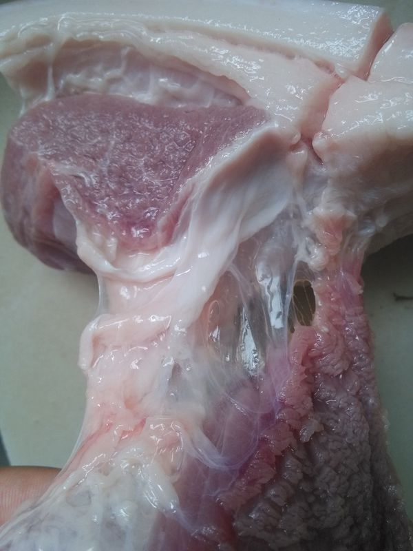 猪肉肥肉像棉絮图片