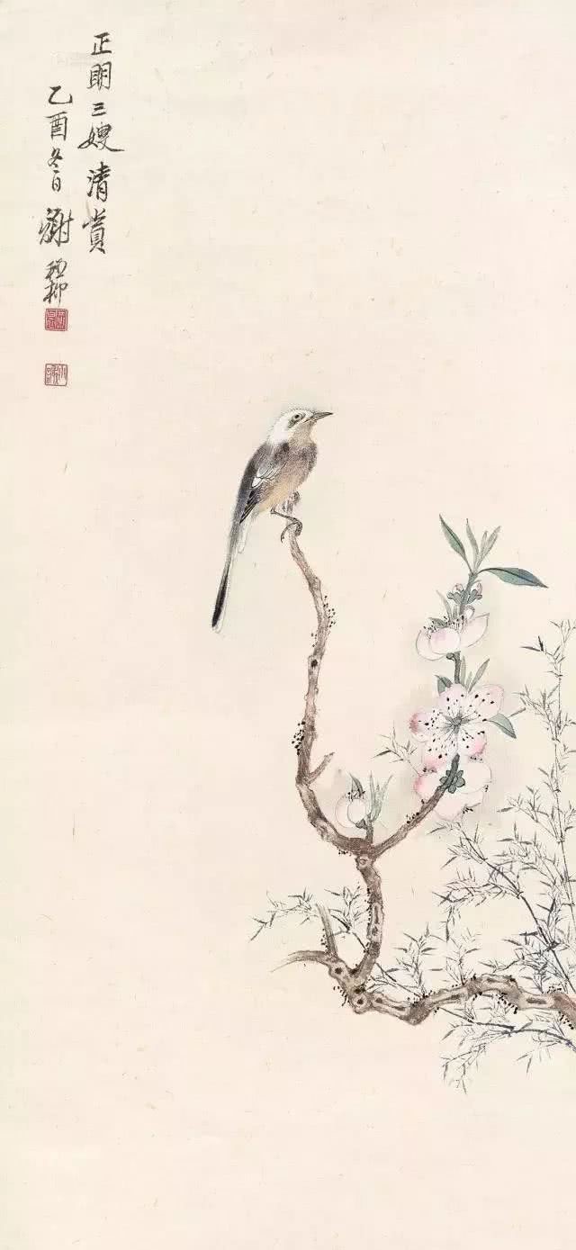 桃花什么桃花源