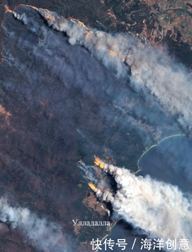 3在澳大利亚火灾