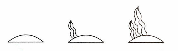 简笔画水彩步骤水彩花朵简笔画步骤