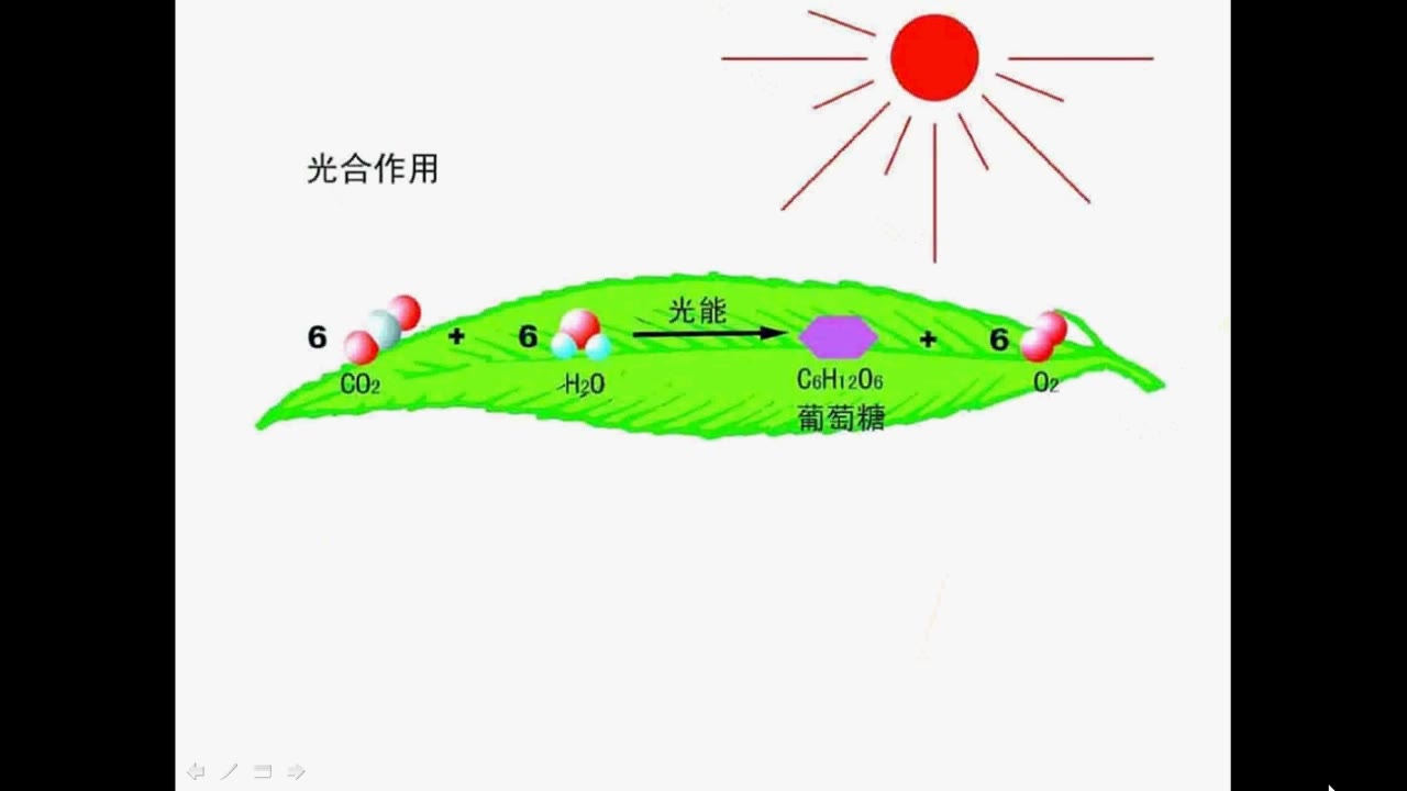 [图]高中生物微课大赛获奖视频《光合作用的过程》