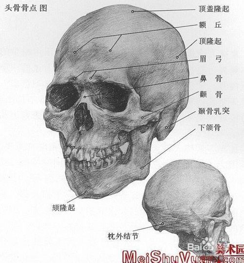如何自学人物素描 素描入门自学教学视频