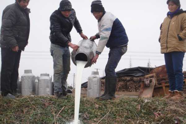 倒牛奶是为了降低牛奶的供应,来维持牛奶的市场价格,其实是资本家自行