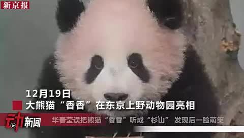 360影视 影视搜索 360影视 影视搜索