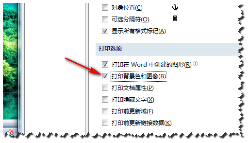 word打印不出图片