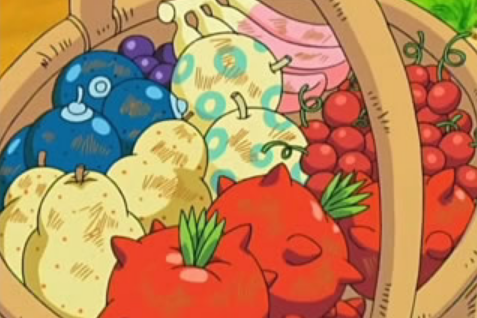 宠物小精灵里各种树果的名字,图片和功效