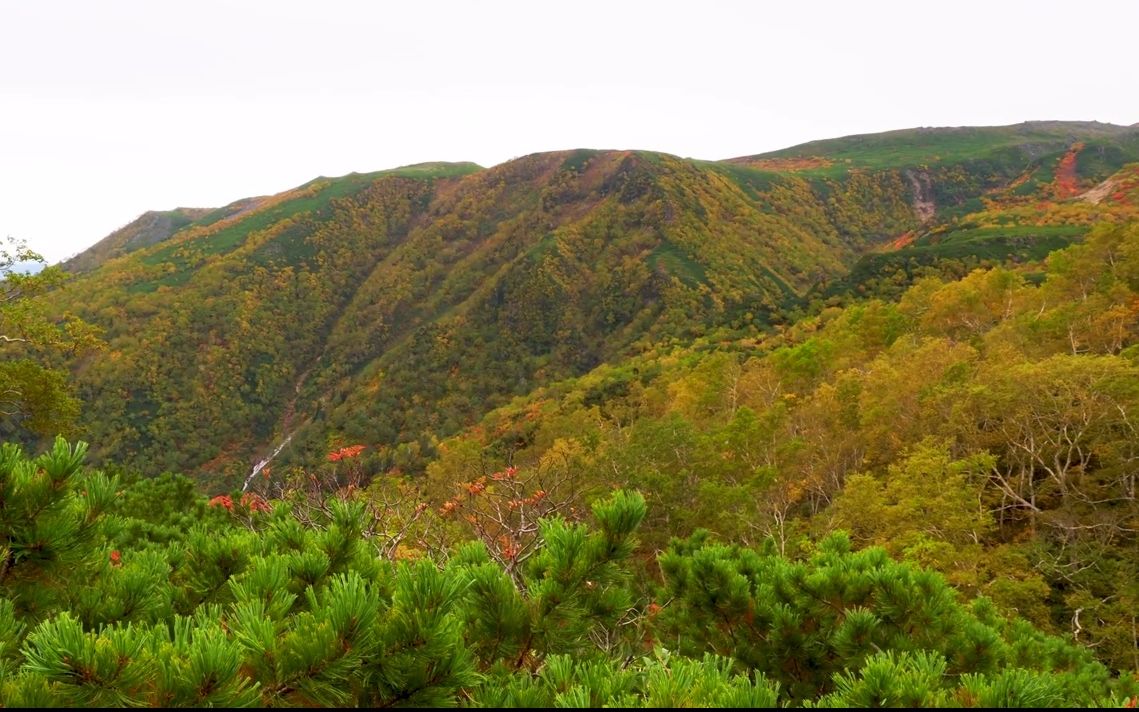 [图]【超清日本】漫步北海道大雪山国立公园-黑岳 2019.9