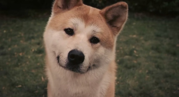 忠犬八公中上野英三郎的特点