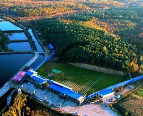 霖市属于哪个省