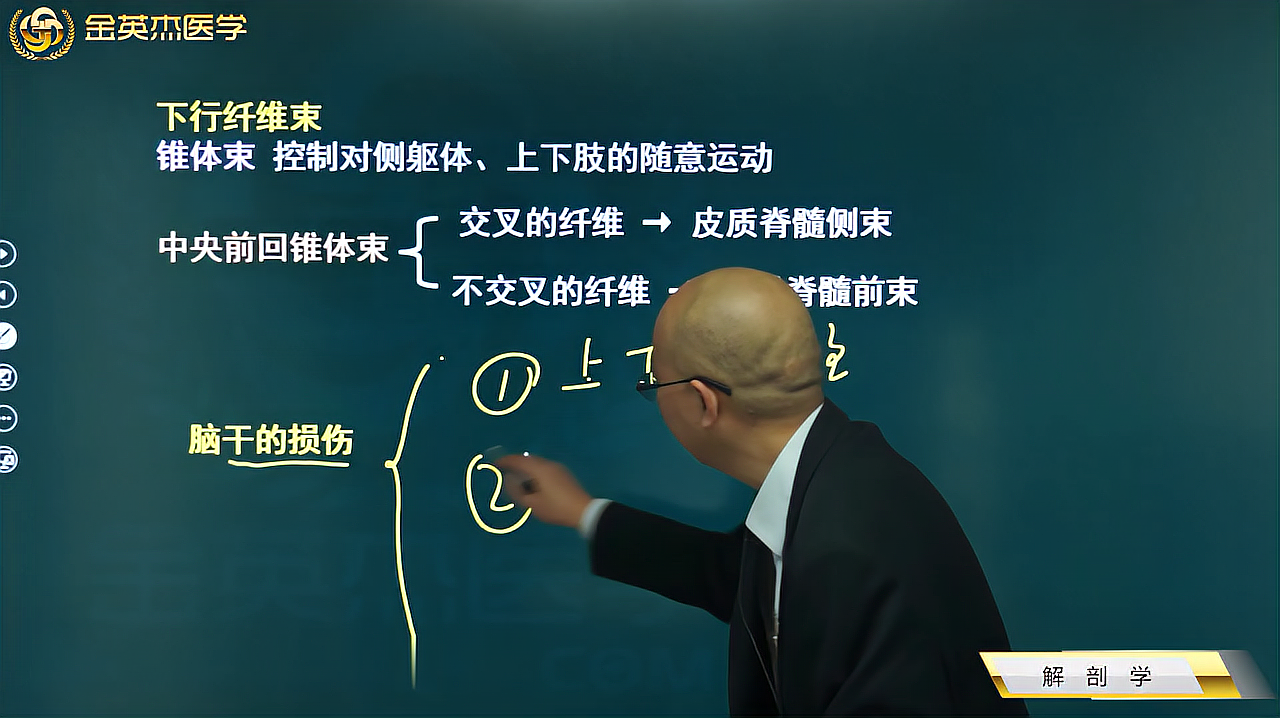 [图]临床知识01解剖学09神经系统01中枢神经系统02脑03脑干的损伤