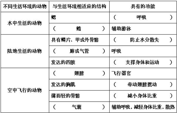 一般都具有支持躯体和运动的器官,用于爬行,行走,跳跃,奔跑
